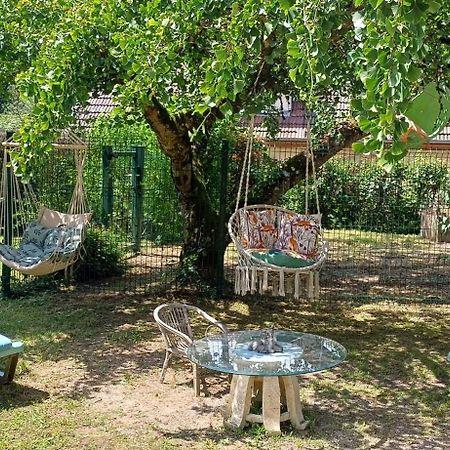 Studio Dans Belle Maison Ancienne Et Jardin Ferme L'Etoile  Luaran gambar