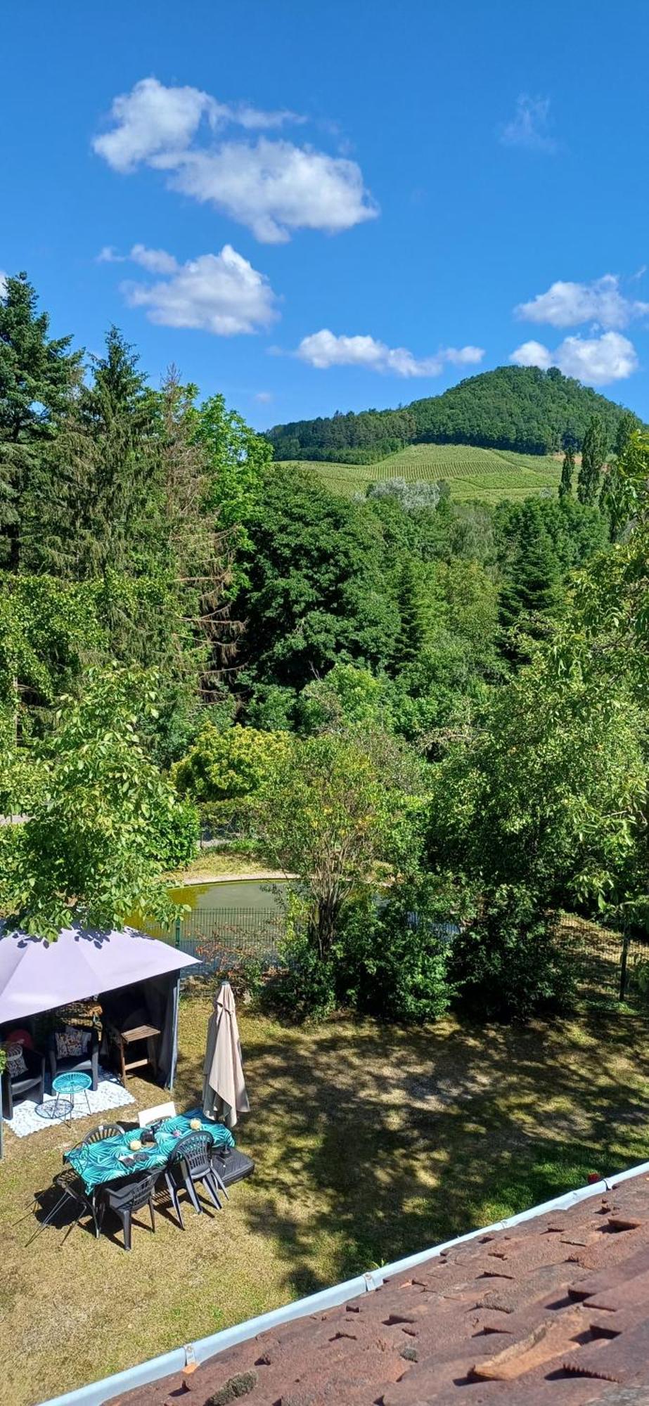 Studio Dans Belle Maison Ancienne Et Jardin Ferme L'Etoile  Luaran gambar