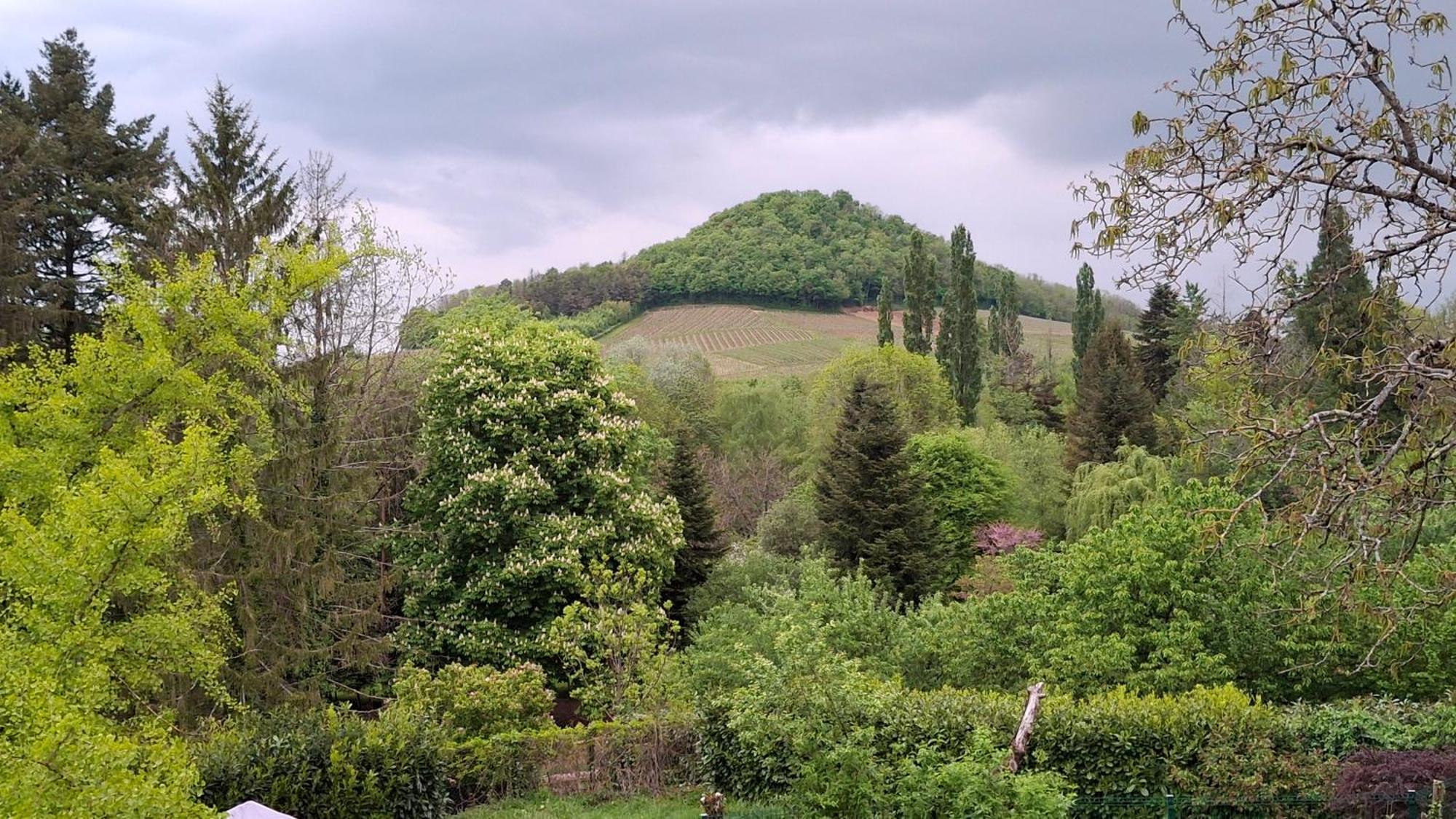 Studio Dans Belle Maison Ancienne Et Jardin Ferme L'Etoile  Luaran gambar